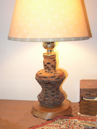 Banksia lamp
